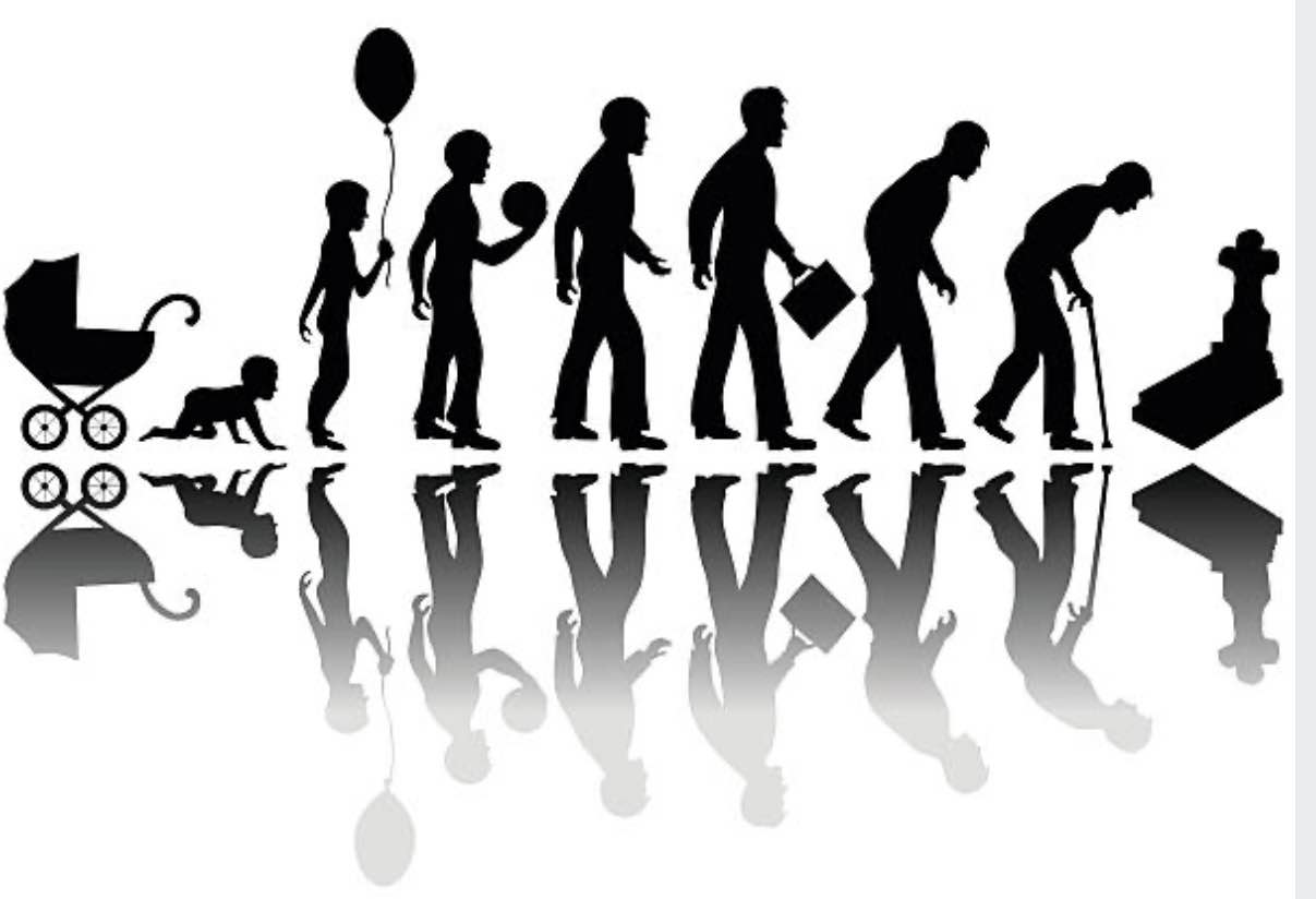 life from birth to death